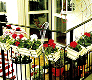 blommar i balkongen