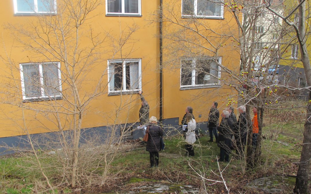 Hyresgästföreningens jurist Bengt Öhman visar att fönstren målats på murket trä.