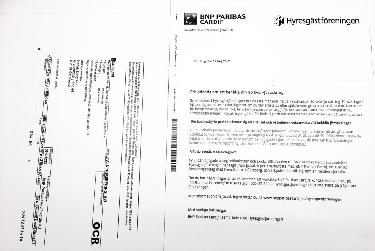 Olagligt ha katt på balkong utan skydd - Hem & Hyra