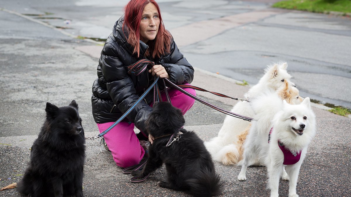 Jessica Engberg med sina fyra hundar.