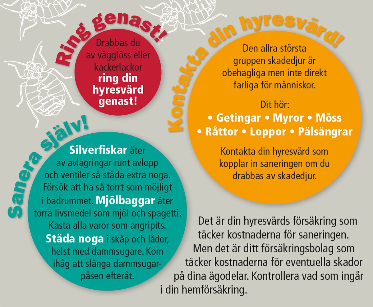 Grafik om olika typer av ohyra