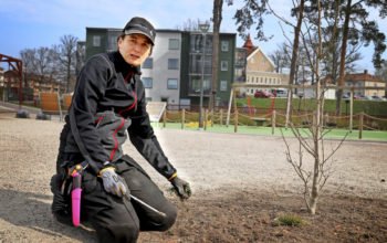 Laura Bende sitter på knä och rensar ogräs i Tennisparken i Vingåker framför det kommunala bostadsbolagets nybyggda hus.