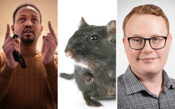 Kollage med Abdirisaq Muse, råtta och Stefan Lindborg