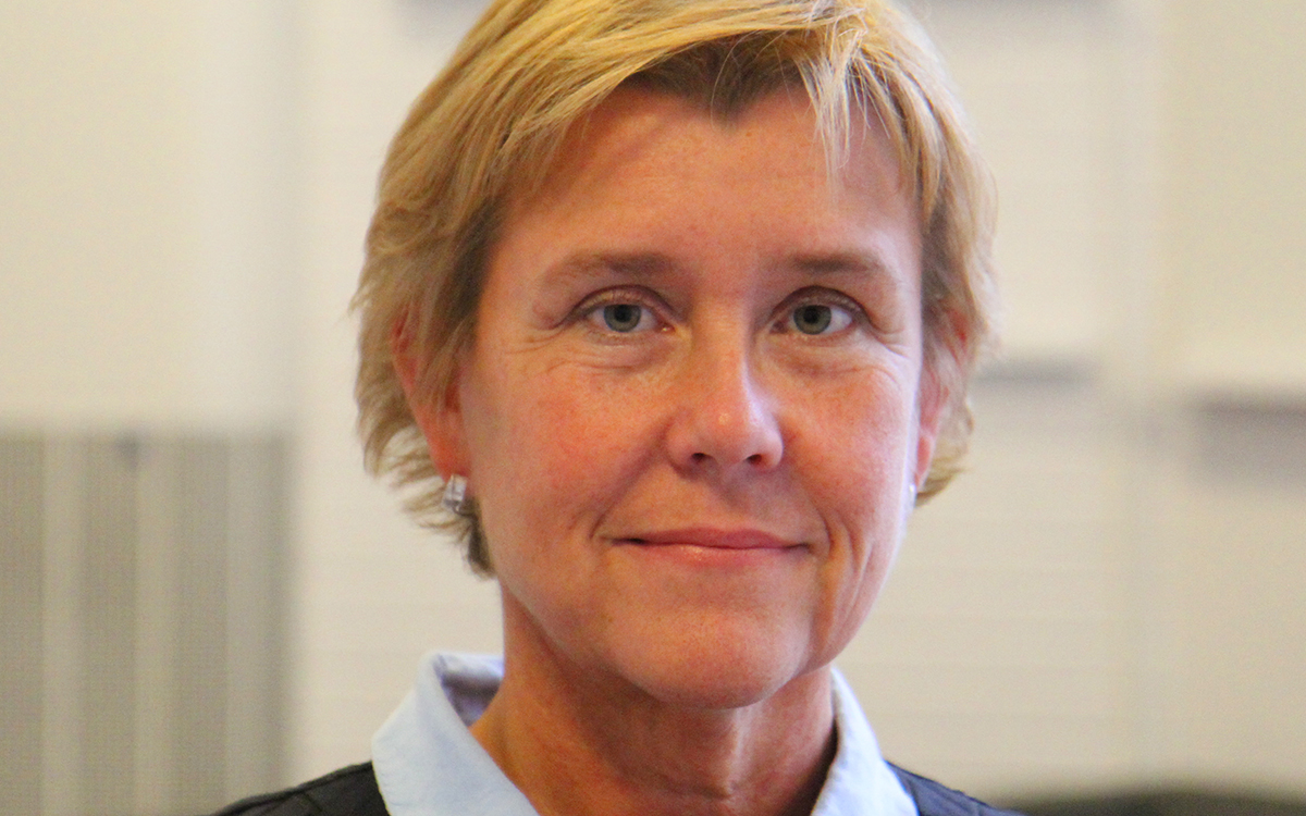 Elisabeth Båvall, Skatteverket