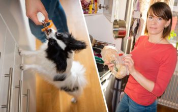 Hunden Gummi äter mest hundmat - men mer än gärna morotsskal. Galina Sidorenko brukar köpa matvaror med kort utgångsdatum - bland annat bröd.