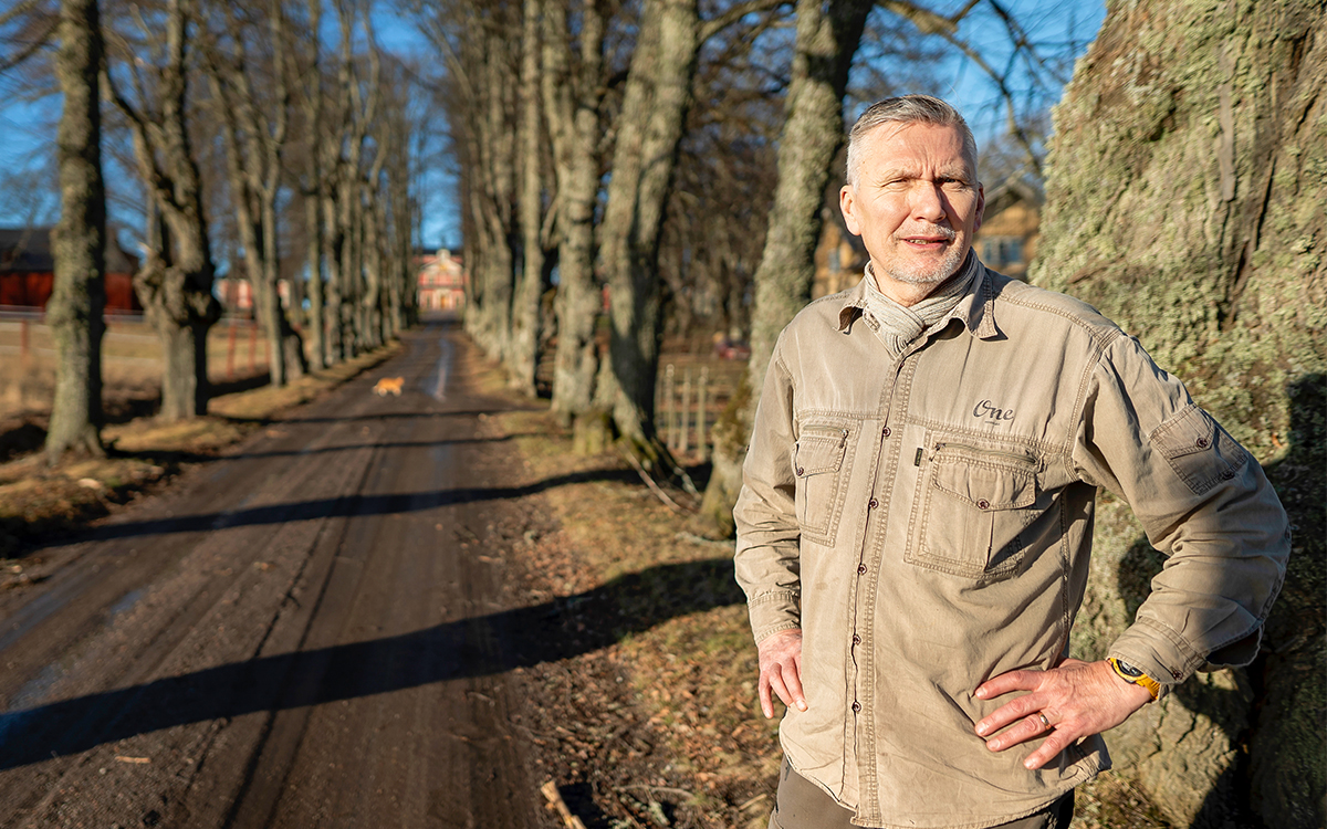 Man med händerna i sidan, i skarpt solljus. Han står på en grusväg som kantas av en trädallé.