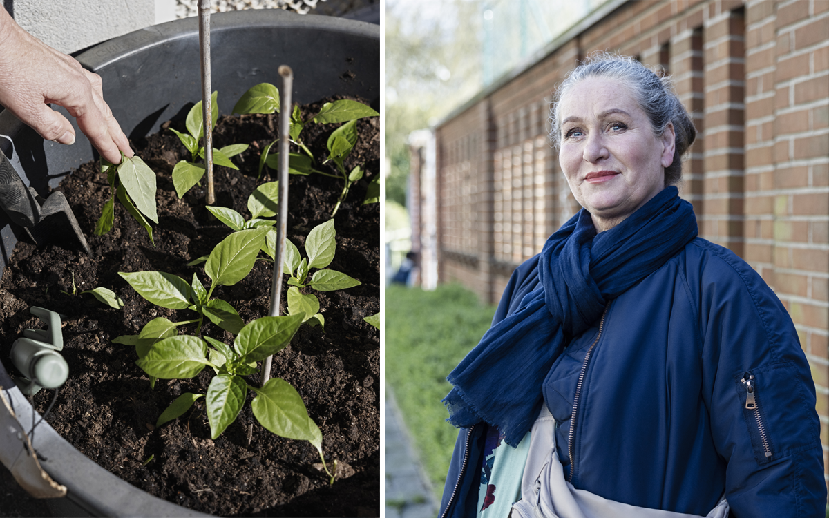 Pernilla drogs inför rätta för hundralappar