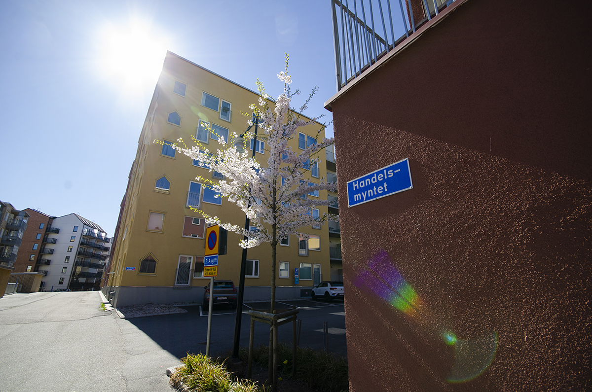 Hyreshusen på Handelsmyntet i Högsbo är resultatet av en unik markanvisningstävling i Göteborg för tio år sedan. Den som ville bygga var tvungen att klara politikernas krav om ett hyrestak på max 1 400 kronor per kvadratmeter och år.