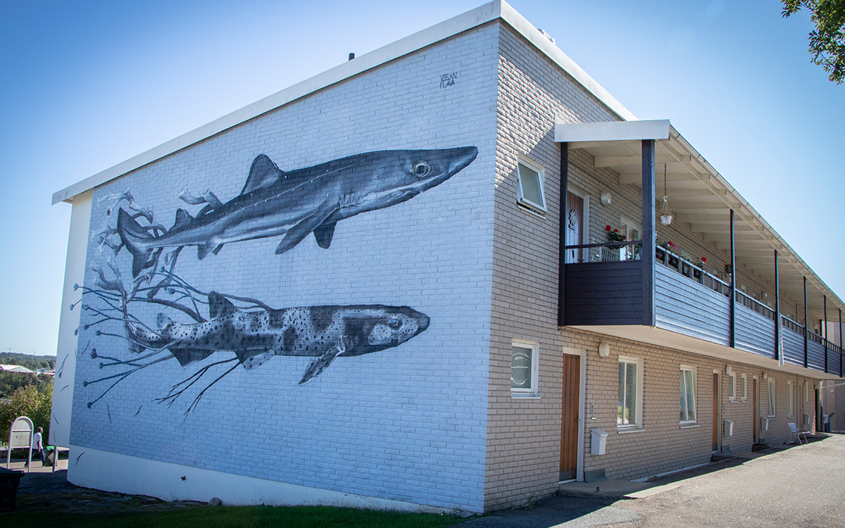 På Timmermansvägen 19 har Vegan Flava målat två hajar.