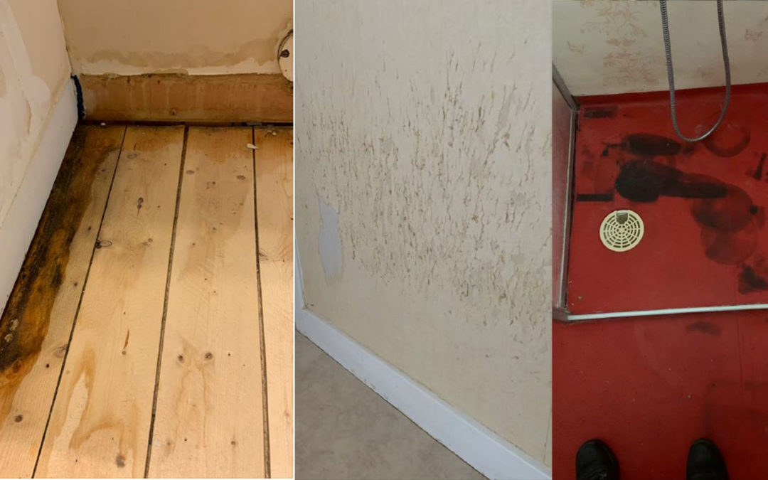 Tre sammansatta bilder visar på lägenhetens dåliga skick.