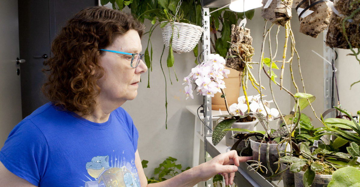 " Jag älskar att gå runt här, knoppa bort gula blad och duscha mina blommor", säger Eva-Karin Wiberg.