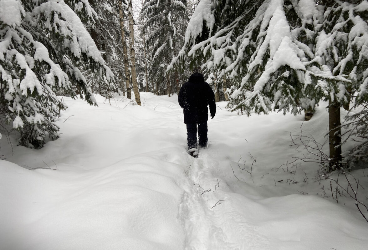 En man i svarta ytterkläder pulsar i snön i skogen.
