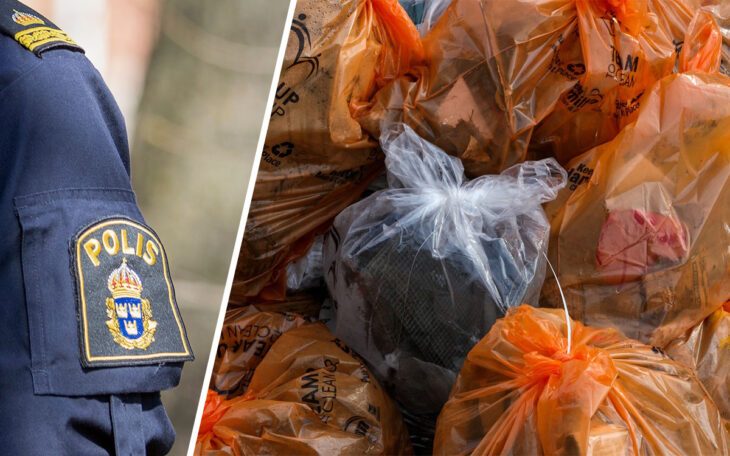 Enligt polisen rådde total misär i lägenheten när de kom dit. En av dem beskrev det som "det värsta han sett under sina tjänstgöringsår". Skadedjur och berg av sopor gjorde att ett besök i tvårummaren krävde skyddskläder.
