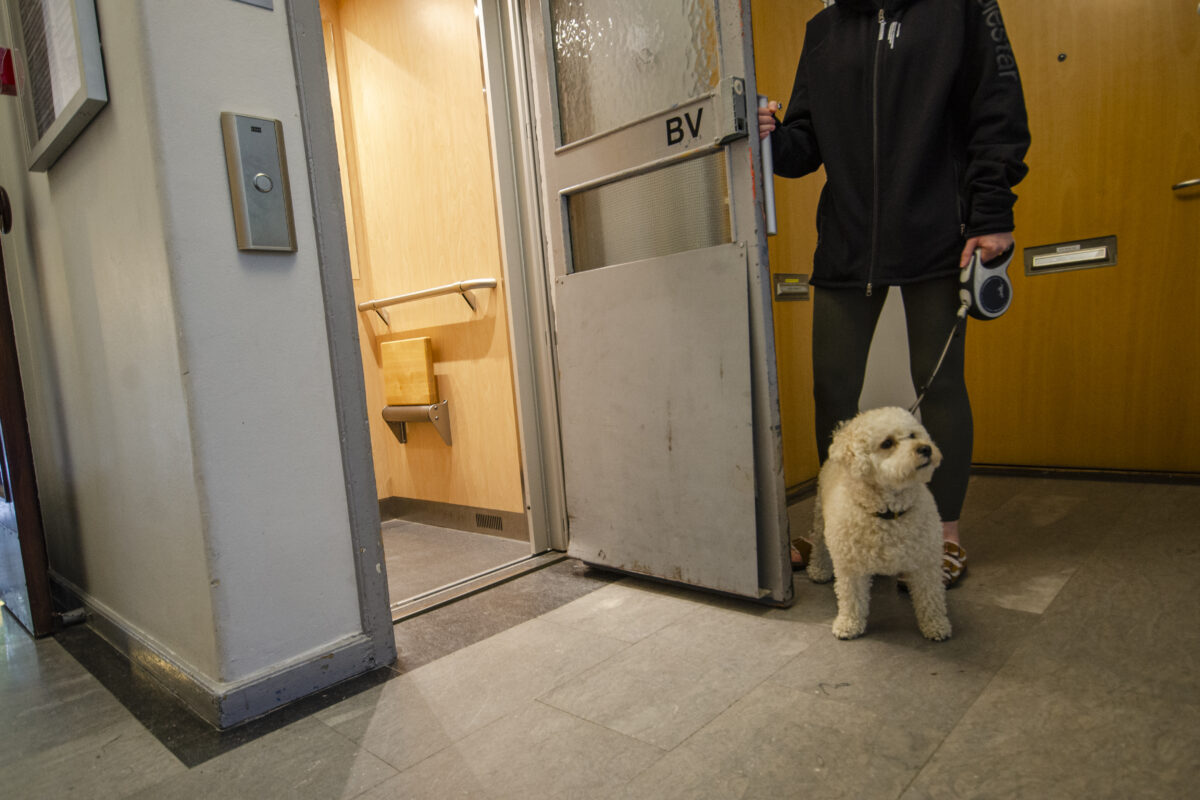 Låt inte barn åka själva, håll hundkopplet kort, kontrollera besiktningsmärket i hissen och kräv att din hyresvärd sätter in skydd i äldre hissar. Hem & Hyra tipsar om hur du blir trygg i hissen.