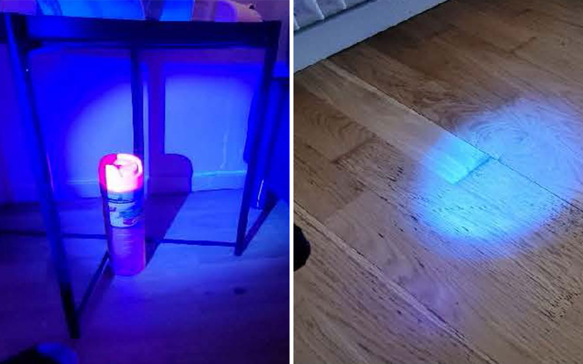 UV-ljus som avslöjar kattkiss.