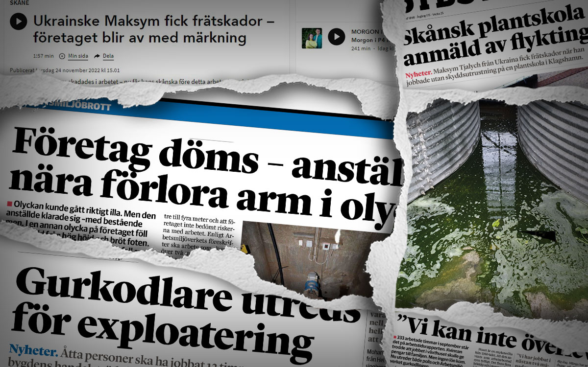 En bild som visar olika tidningsklipp med rubriker som "Ukrainske Maksym fick frätskador - företaget blir av med märkning", "Företag döms - anställd nära förlora arm i olycka", "Gurkodlare utreds för exploatering", "Vi kan inte överleva", "Skånsk plantskolan anmäld av flykting", samt ett foto som visar grön vätska som runnit ur behållare.