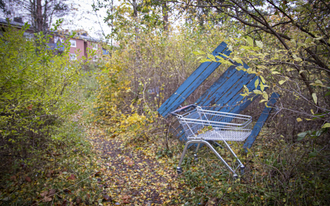 I skogen ligger bland annat en parkbänk och en kundvagn övergiven.