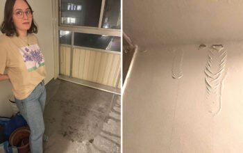 Efter ett drygt halvår i sin studentlägenhet är Rebecka Stenmark besviken på sin hyresvärd SGS. Fuktproblemen har gjort den inglasade balkongen obrukbar och märks även av inne i lägenheten.