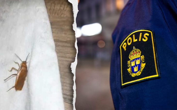 kackerlackor i brevinkast
