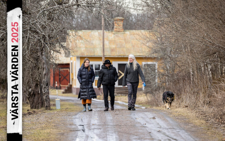 Anna Patzauer Personne, Kintu Kawumba, Gunilla Silverun och hennes hund Nina kommer gående mot kameran på en oasfalterad väg som ser ut att vara blöt. Bakom dem syns ett gult tvåvåningshus. Runt omkring dem höga buskar och träd utan blad. De så kallade skandalhusen i Tobo finns med på Hem & Hyras Värsta värden-lista.