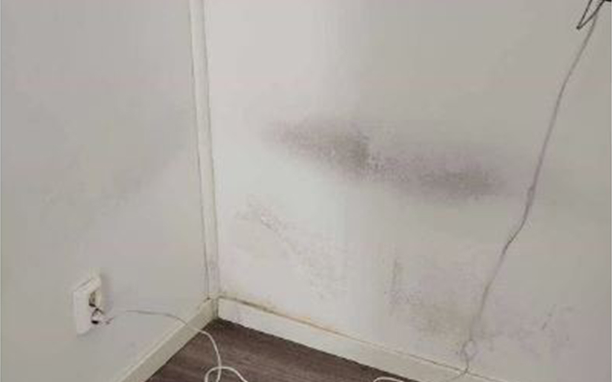 Väggen där den tidigare hyresgästen haft sin säng var smutsig när Petra Mrsán och Kevin Hedelin flyttade in.