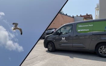 Två bilder. En på en mås och en på hyresvärden Mitthems företagsbil med logotyp på sidan.
