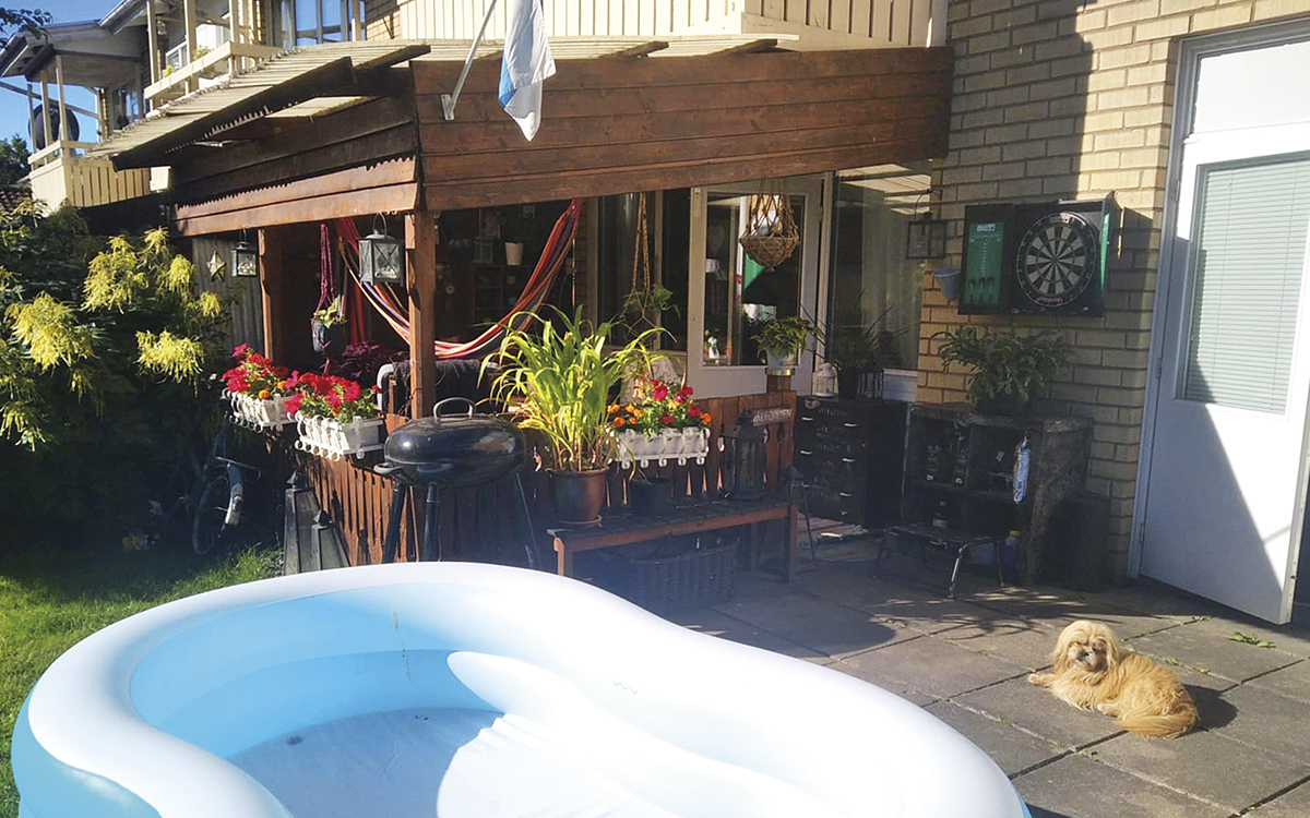 En uteplats med en egenbyggd altan med tak och blommor i blomlådor, i förgrunden en stor uppblåsbar plastpool, och en liten hund.