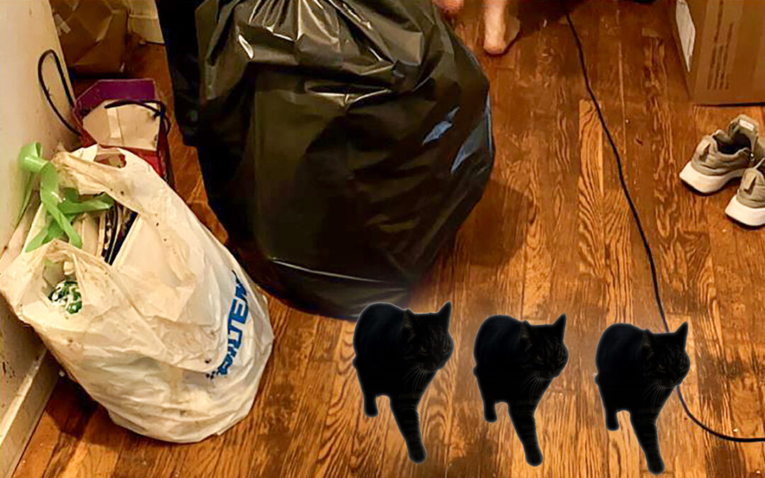 Bild som visar sopsäckar på ett golv samt tre svarta silhuetter av en och samma katt.