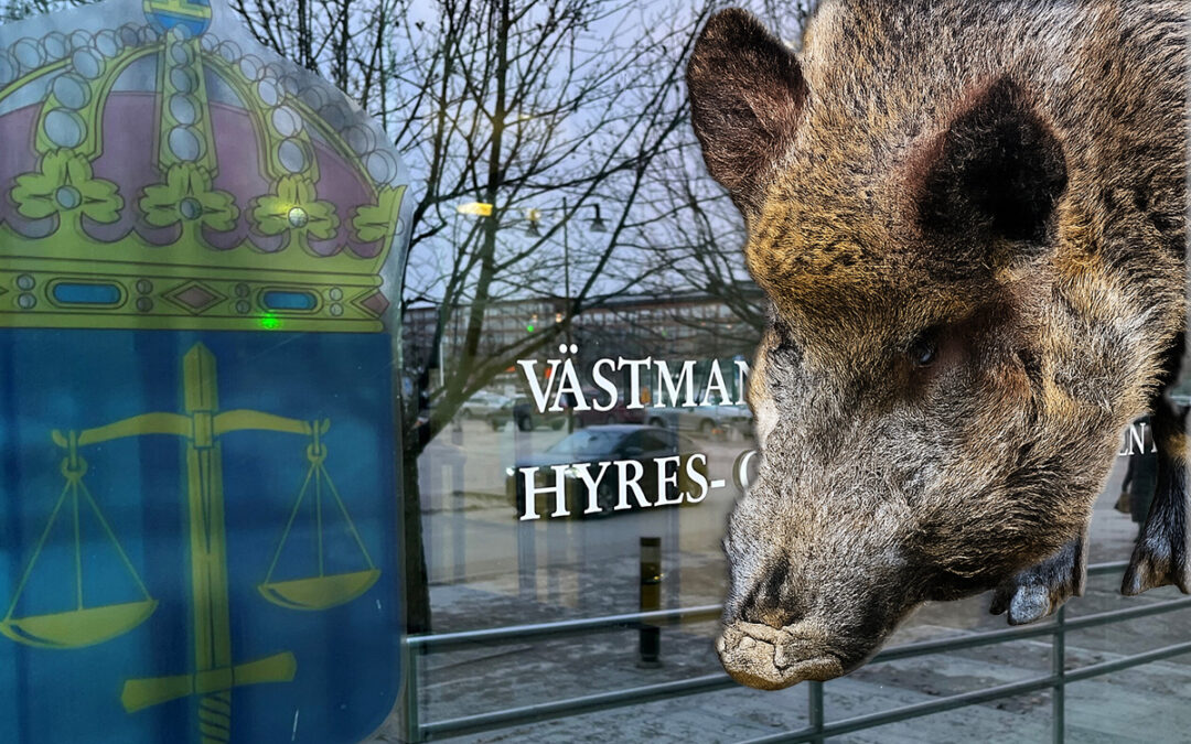 Bild som visar en glasruta där riksvapnet syns samt delar av text en text. Det står dels Västmanland, dels Hyres- och. I bilden finns även ett vildsvinshuvud inklippt.