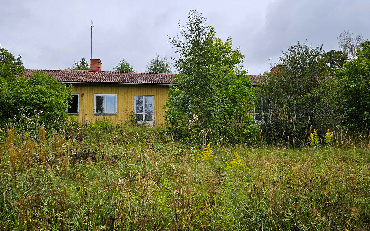 Gult, lågt trähus som är svårt slitet. Grönska i förgrunden.