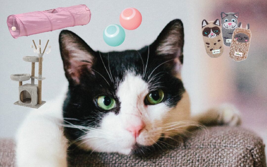 Vill du göra det mysigt och stimulerande för din pälskling? Läs vår kattiga prylguide.
