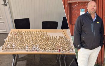 Tvådelad bild. På ena bilden står en stor mängd nagellacksflaskor. På den andra bilden syns en man.