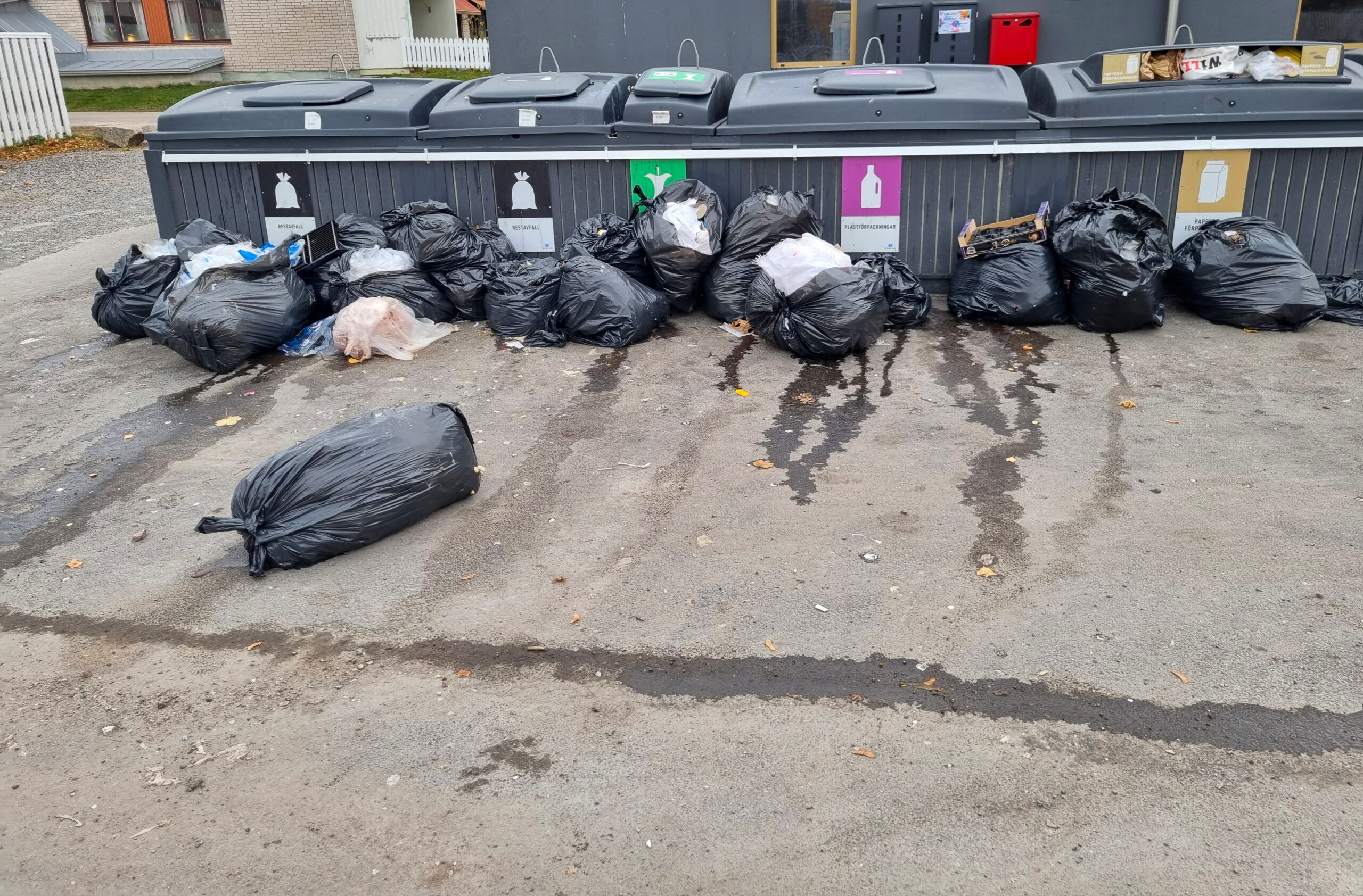 En stor mängd soppåsar ligger utslängda på marken framför ett antal containrar.