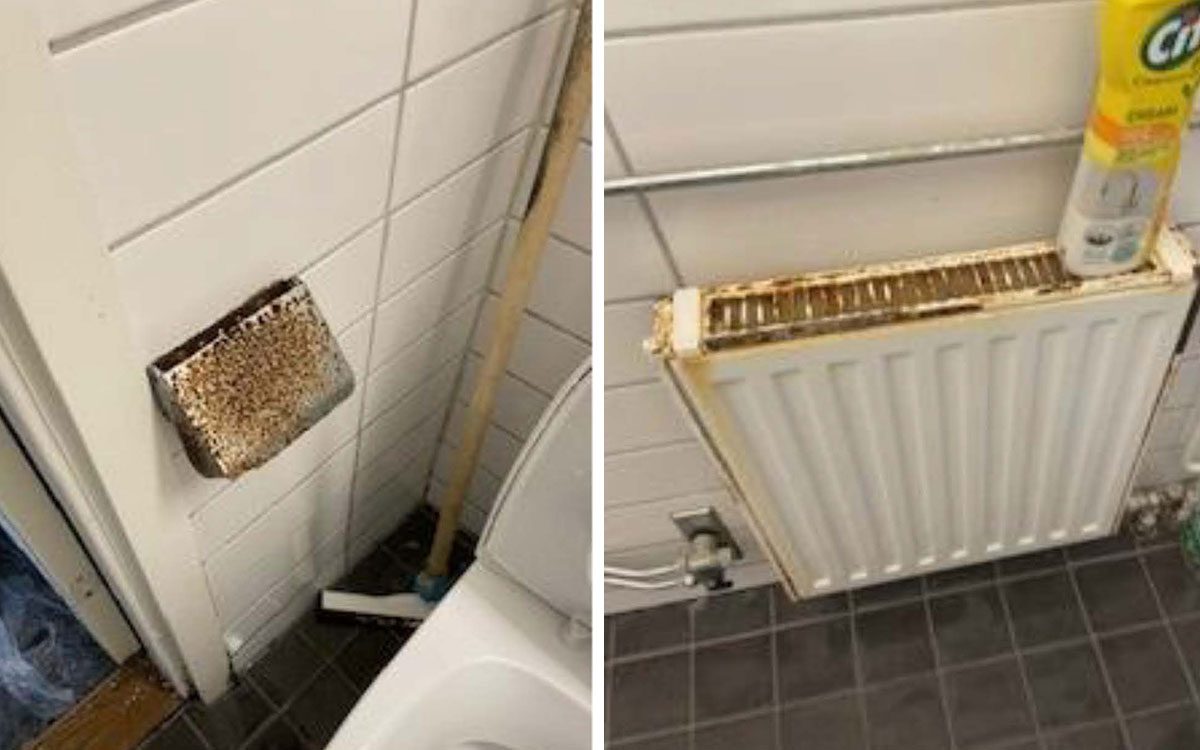 Rostskadad toalettpappershållare och element.
