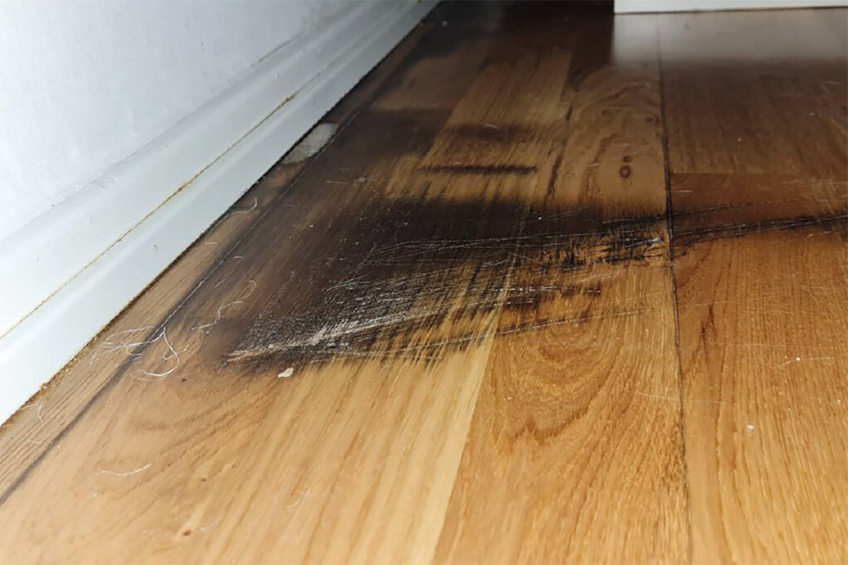 En mörk fläck på ett trägolv.