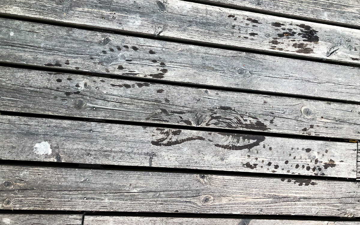 "När jag såg stegen på verandan efter räden så rös jag. Det blev en reality check. Det här har hänt," säger Lina.