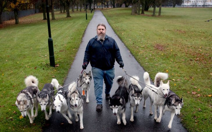 Carl Mikael Bengtsson och alla hans nio hundar av rasen Sibirian husky
