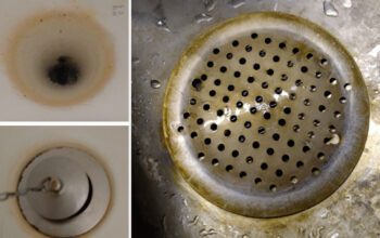 Rödbruna missfärgningar syns i diskhon och vid avloppet, vilket hyresgästens tror beror på vattnet.