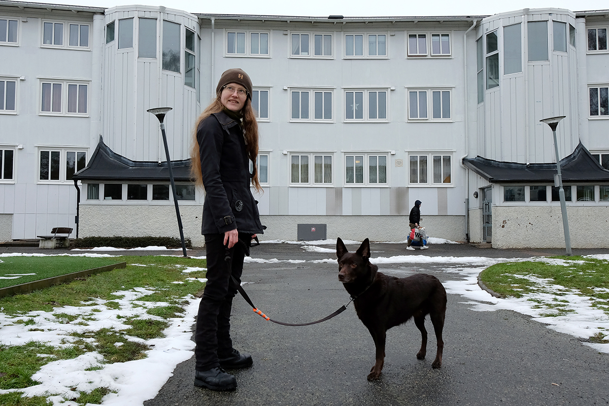 När Hem & Hyra besöker området i januari står ett stort antal lyktstolpar på sniskan. Särskilt de som är placerade i gathörn. Deborah Helin tror att hantverkare kan ha backat på dem.
