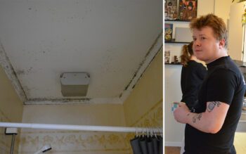 Möglet hos Rasmus Lindh och Alva Lundgren har funnits där i flera år. De har försökt få hyresvärden att åtgärda problemet, men ingenting har hänt.