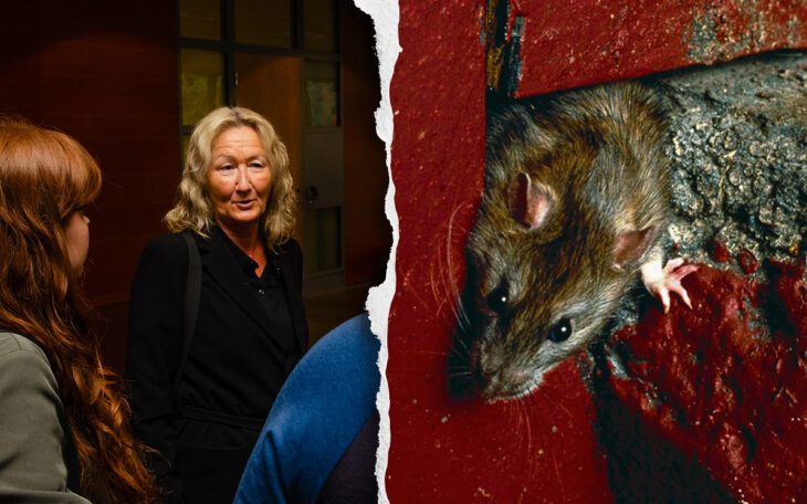 Anne-Li Sundvall och hennes grannar har väntat i flera år på att värden ska täppa igen håligheter i fasaden där råttor kilat in och ut. Processen i hyresnämnden har hjälpt till att sätta press.