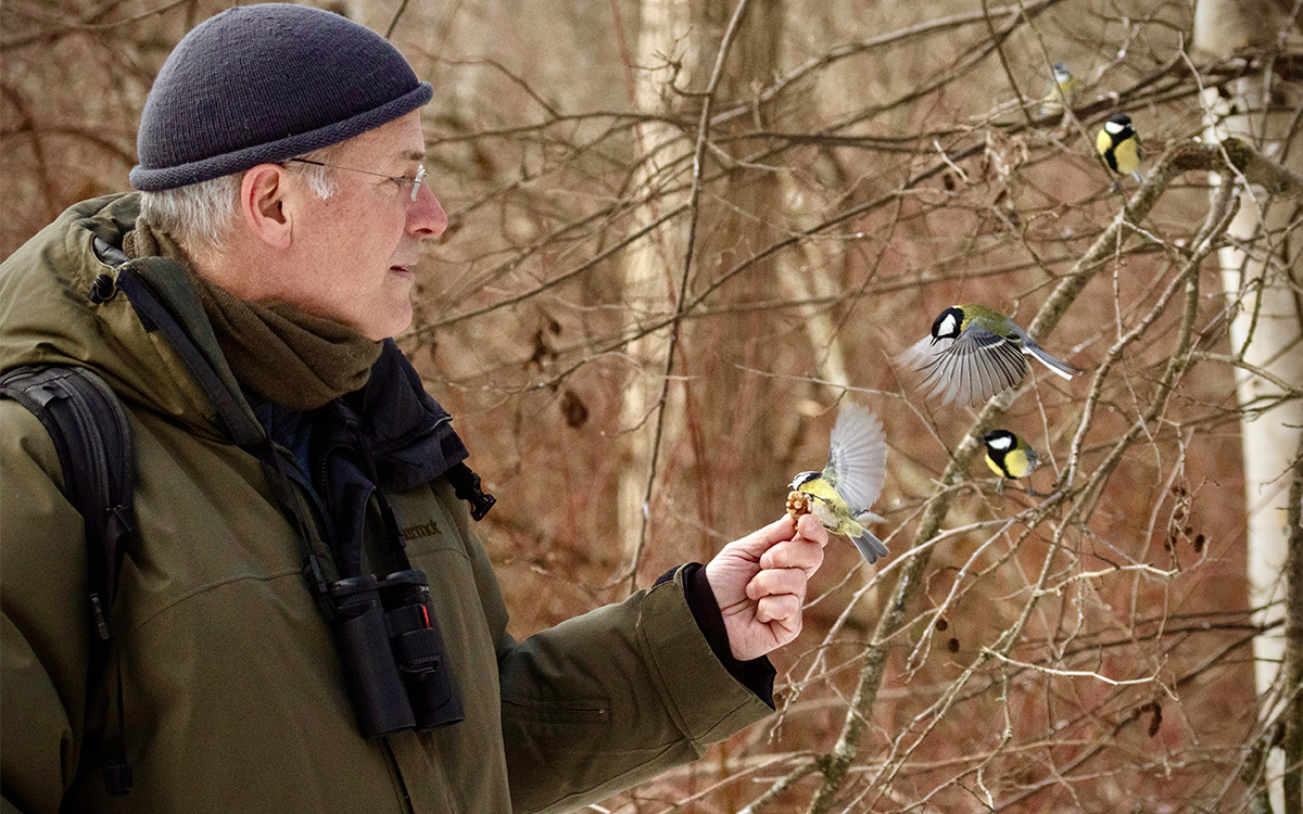 Fågelskådning. Man lockar till sig fyra småfåglar med lite fågelmat.