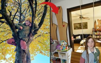 Två bilder som visar en flicka i ett träd och den andra hur trädets stam sågats upp som tavlor på väggen.