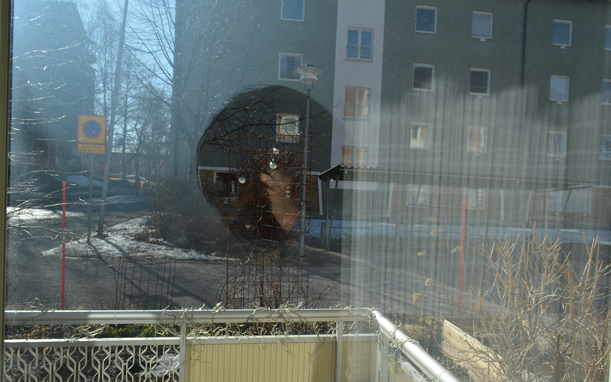 Häxsot på fönstret.