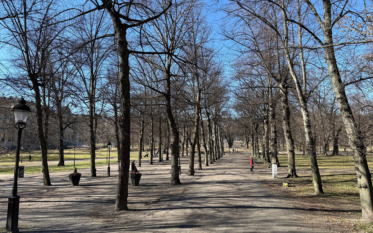 För flanören. Humlegården ligger alldeles i närheten av den aktuella lägenheten. 