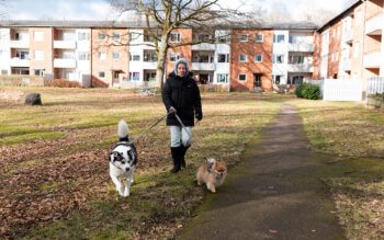 En äldre kvinna som har en husky och en pommeranian (hundar) i koppel och går i ett bostadsområde.