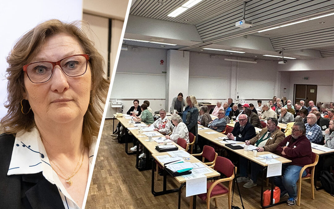 En tvådela bild. En kvinna som tittar rakt fram. Ett möte.