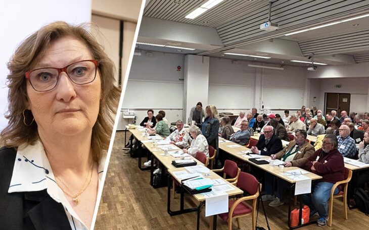 En tvådela bild. En kvinna som tittar rakt fram. Ett möte.