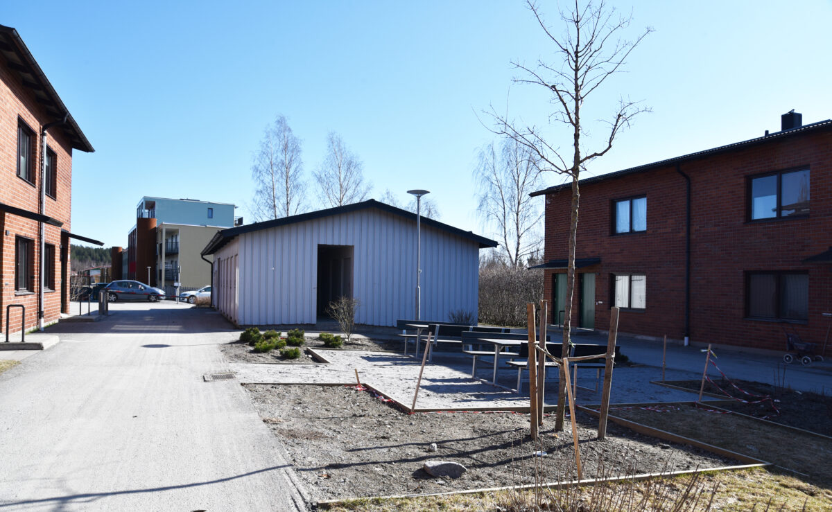 Ett foto av en gård med små träd planterade.