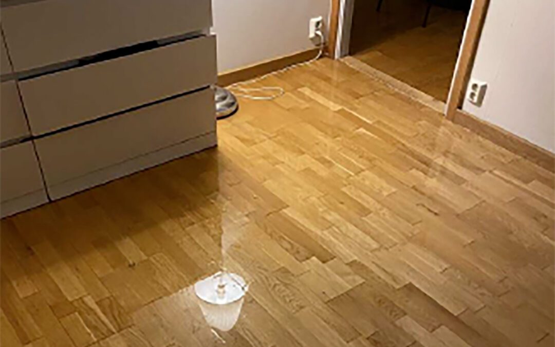 Hundratals liter vatten strömmade ut i lägenheten på bara en timme. Enligt värden tyder händelseförloppet på att hyresgästen har somnat i duschen.